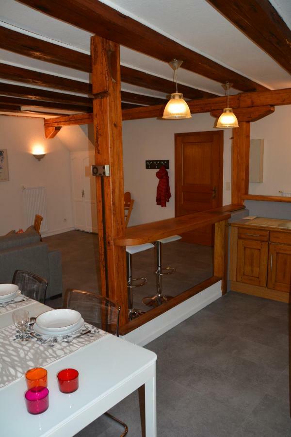 Le Cerf Apartment Colmar Ngoại thất bức ảnh