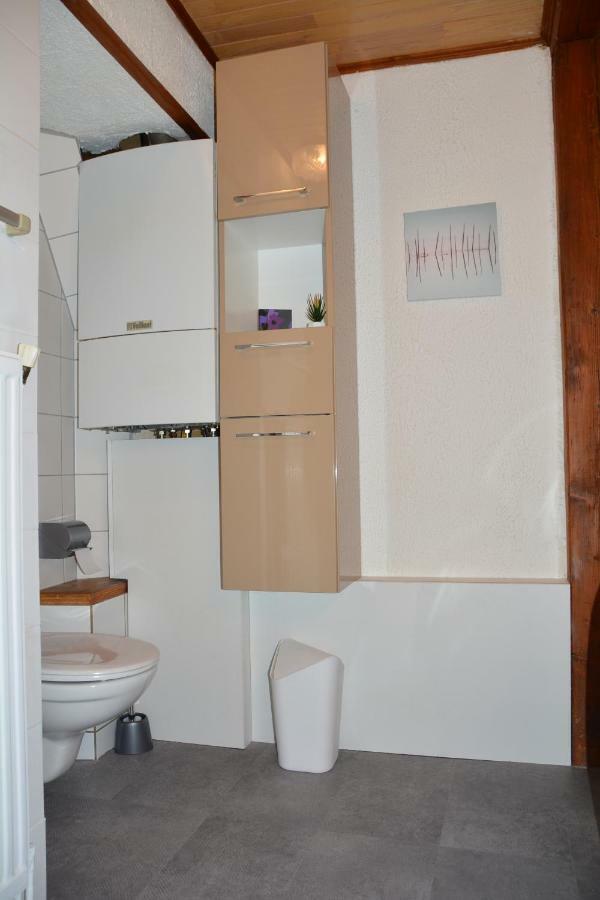 Le Cerf Apartment Colmar Ngoại thất bức ảnh
