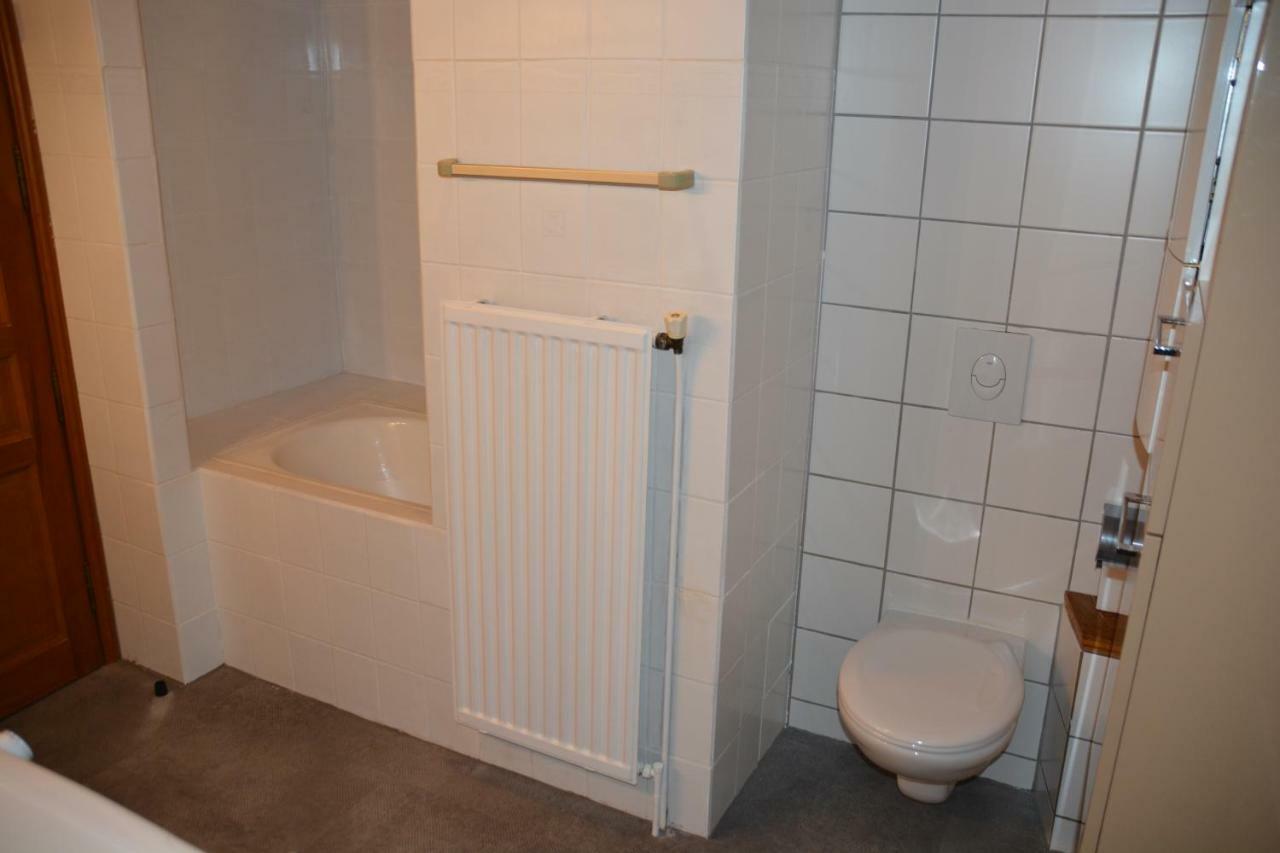 Le Cerf Apartment Colmar Ngoại thất bức ảnh